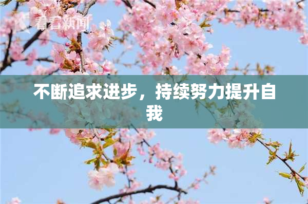不断追求进步，持续努力提升自我