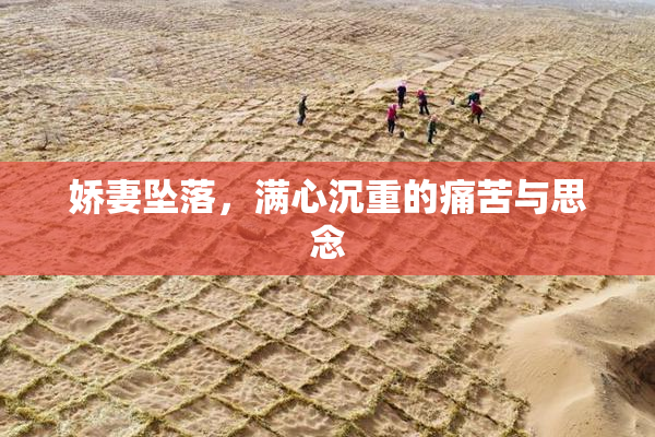 娇妻坠落，满心沉重的痛苦与思念