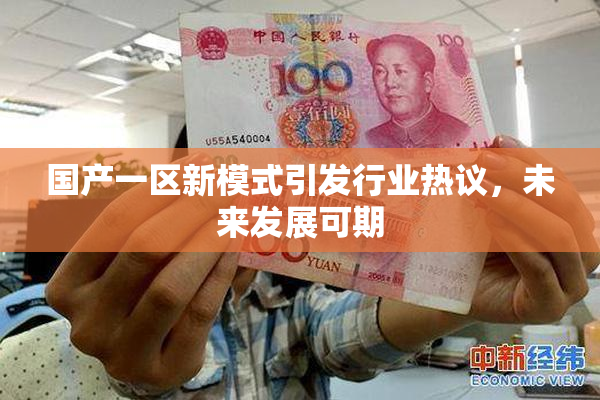 国产一区新模式引发行业热议，未来发展可期