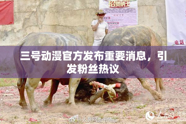 三号动漫官方发布重要消息，引发粉丝热议