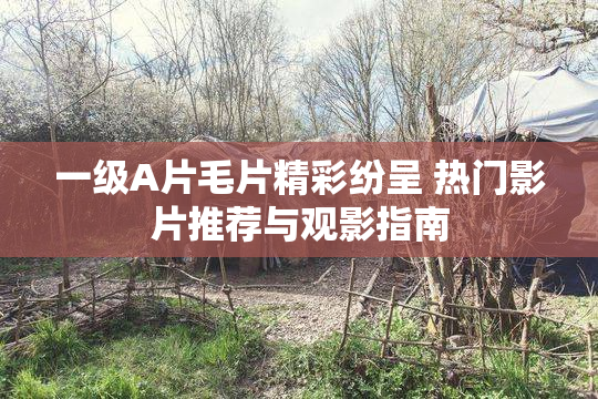 一级A片毛片精彩纷呈 热门影片推荐与观影指南