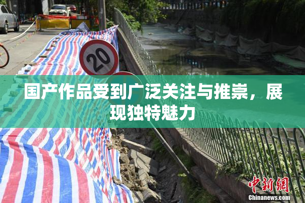 国产作品受到广泛关注与推崇，展现独特魅力