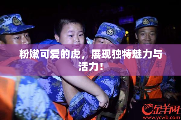 粉嫩可爱的虎，展现独特魅力与活力！