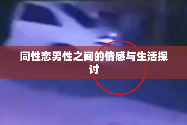 同性恋男性之间的情感与生活探讨