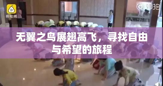 无翼之鸟展翅高飞，寻找自由与希望的旅程