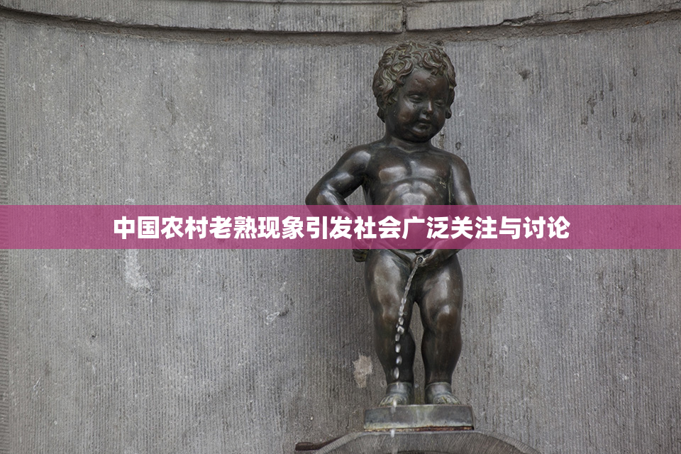 中国农村老熟现象引发社会广泛关注与讨论