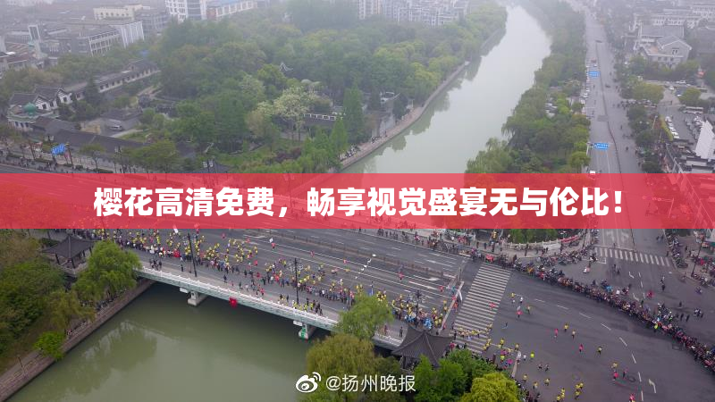 樱花高清免费，畅享视觉盛宴无与伦比！