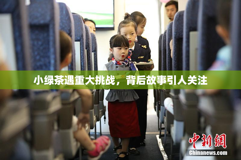 小绿茶遇重大挑战，背后故事引人关注