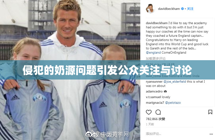 侵犯的奶源问题引发公众关注与讨论