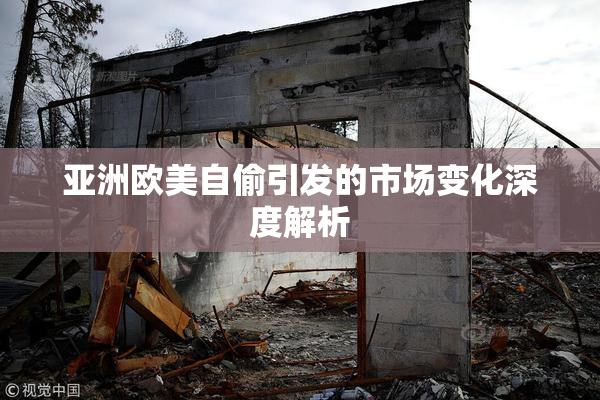 亚洲欧美自偷引发的市场变化深度解析