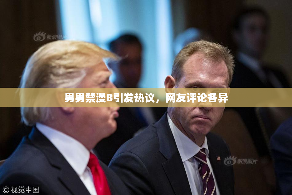 男男禁漫B引发热议，网友评论各异