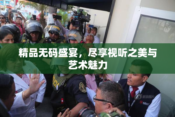 精品无码盛宴，尽享视听之美与艺术魅力