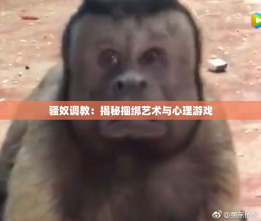 骚奴调教：揭秘捆绑艺术与心理游戏