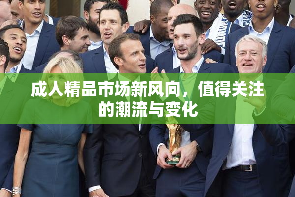 成人精品市场新风向，值得关注的潮流与变化
