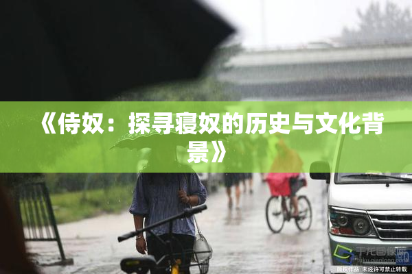 《侍奴：探寻寝奴的历史与文化背景》