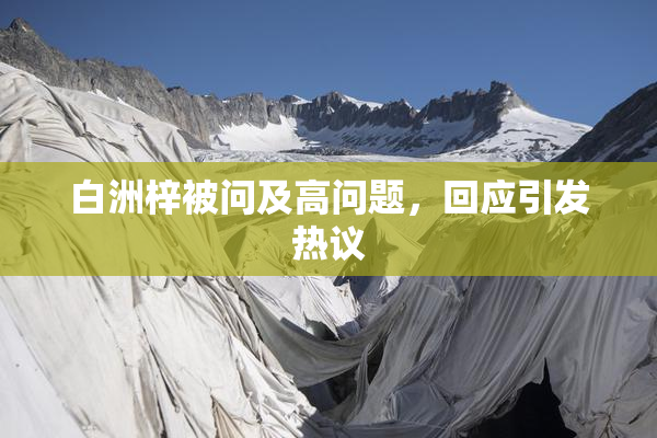 白洲梓被问及高问题，回应引发热议