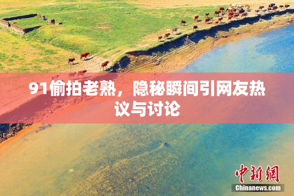 91偷拍老熟，隐秘瞬间引网友热议与讨论