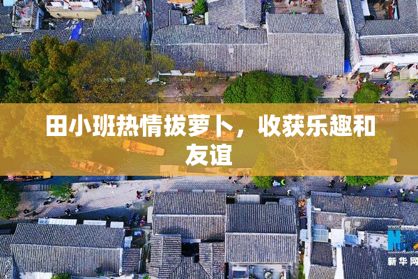 田小班热情拔萝卜，收获乐趣和友谊