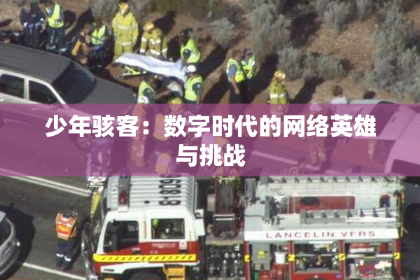 少年骇客：数字时代的网络英雄与挑战