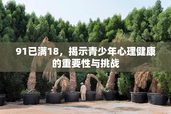 91已满18，揭示青少年心理健康的重要性与挑战