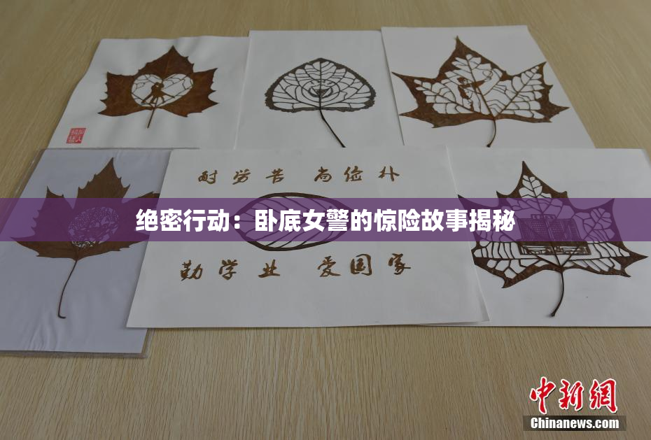 绝密行动：卧底女警的惊险故事揭秘
