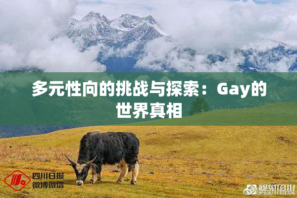 多元性向的挑战与探索：Gay的世界真相