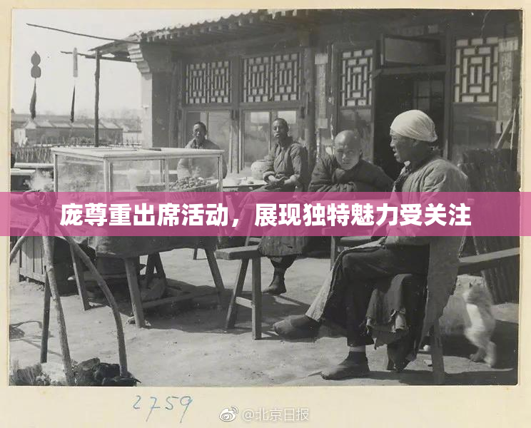 庞尊重出席活动，展现独特魅力受关注