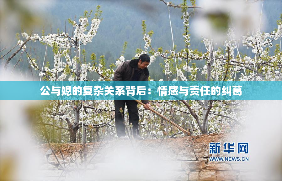 公与媳的复杂关系背后：情感与责任的纠葛
