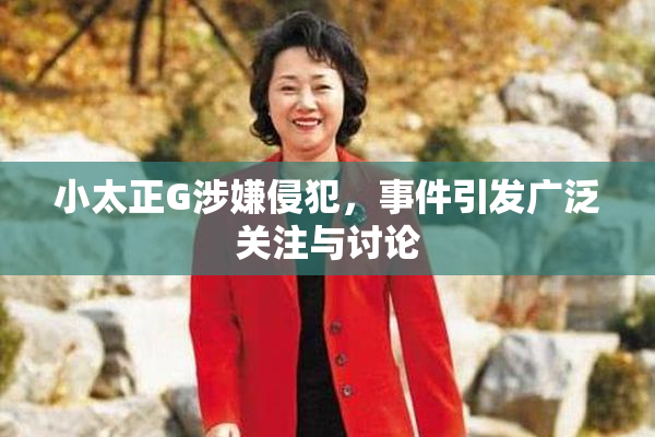 小太正G涉嫌侵犯，事件引发广泛关注与讨论