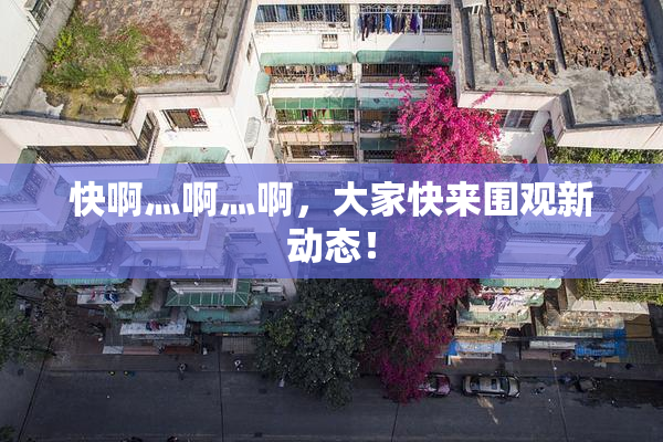 快啊灬啊灬啊，大家快来围观新动态！