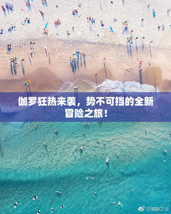 伽罗狂热来袭，势不可挡的全新冒险之旅！