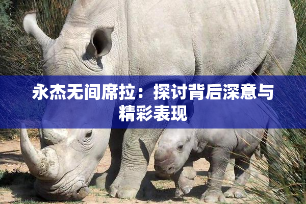 永杰无间席拉：探讨背后深意与精彩表现