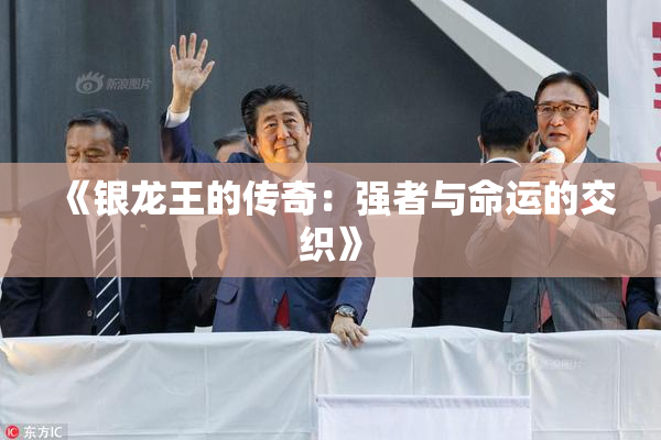 《银龙王的传奇：强者与命运的交织》