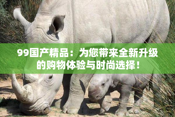 99国产精品：为您带来全新升级的购物体验与时尚选择！