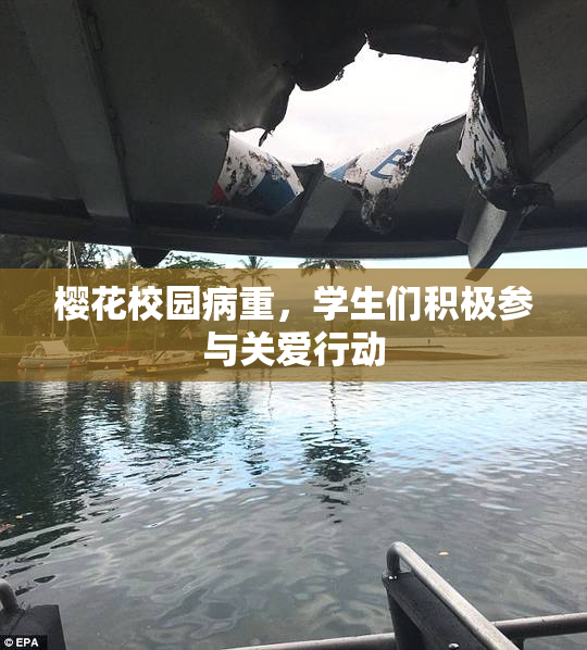 樱花校园病重，学生们积极参与关爱行动