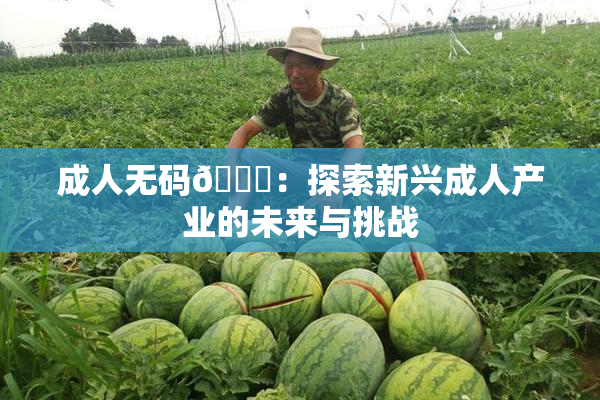 成人无码🔞：探索新兴成人产业的未来与挑战
