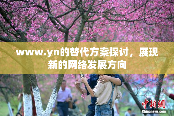 www.yn的替代方案探讨，展现新的网络发展方向