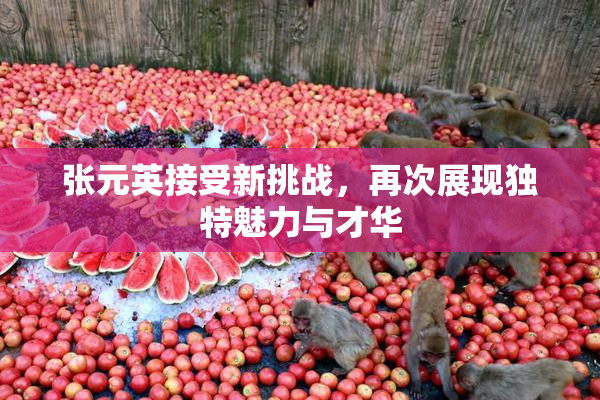 张元英接受新挑战，再次展现独特魅力与才华
