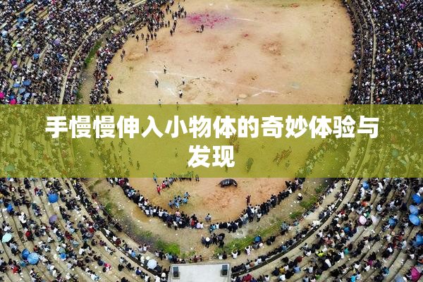 手慢慢伸入小物体的奇妙体验与发现
