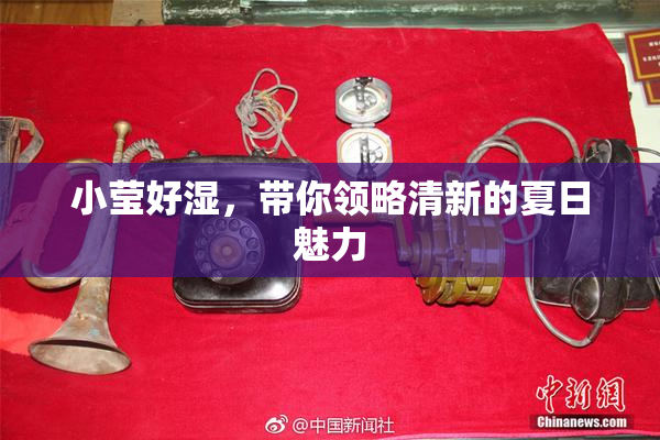 小莹好湿，带你领略清新的夏日魅力