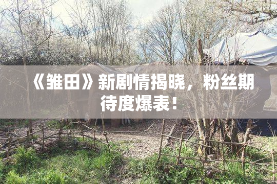 《雏田》新剧情揭晓，粉丝期待度爆表！