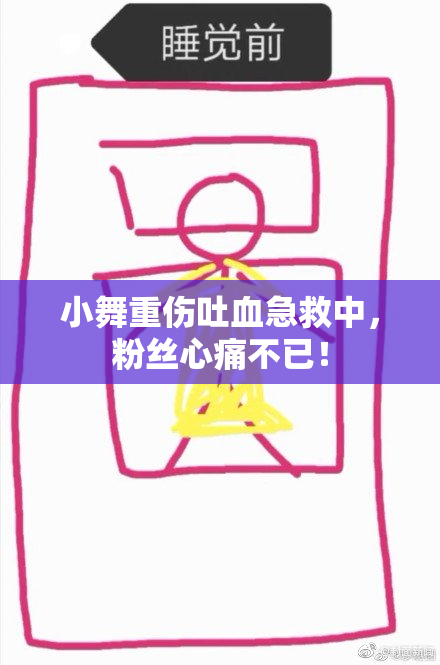 小舞重伤吐血急救中，粉丝心痛不已！