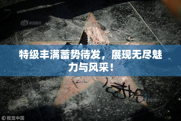 特级丰满蓄势待发，展现无尽魅力与风采！