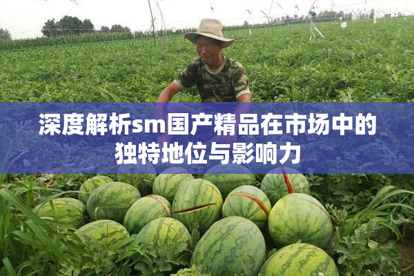深度解析sm国产精品在市场中的独特地位与影响力
