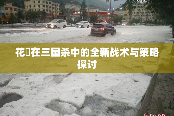花鬘在三国杀中的全新战术与策略探讨