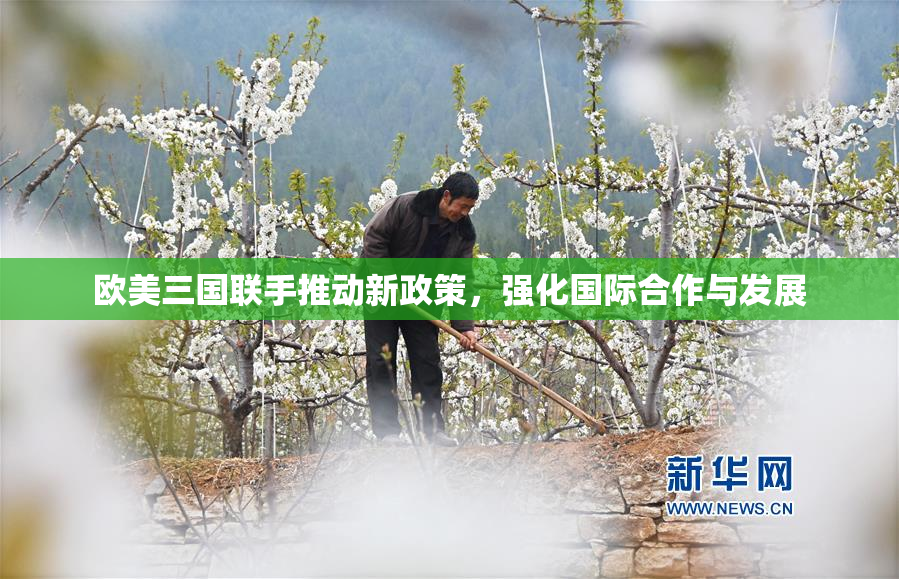 欧美三国联手推动新政策，强化国际合作与发展