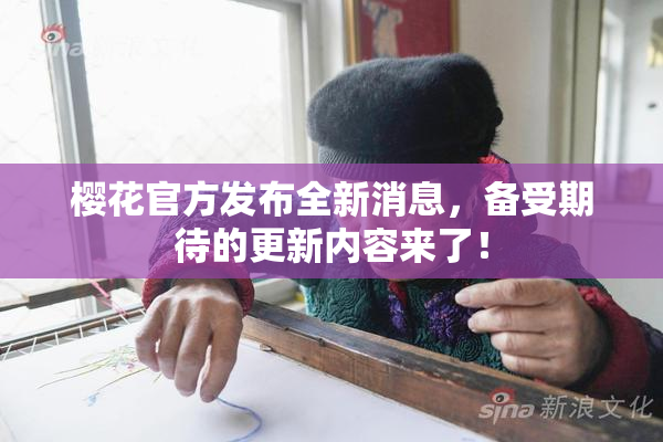 樱花官方发布全新消息，备受期待的更新内容来了！