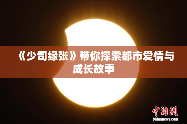 《少司缘张》带你探索都市爱情与成长故事