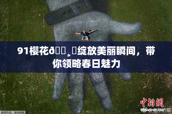 91樱花🌸‌绽放美丽瞬间，带你领略春日魅力