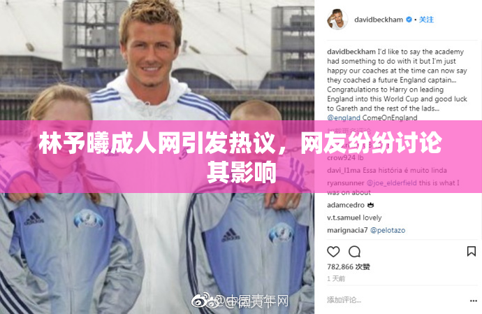 林予曦成人网引发热议，网友纷纷讨论其影响